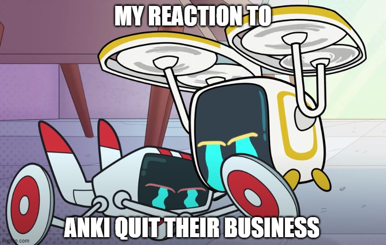 Another meme | MY REACTION TO; ANKI QUIT THEIR BUSINESS | image tagged in cavu and whizzmo crying | made w/ Imgflip meme maker