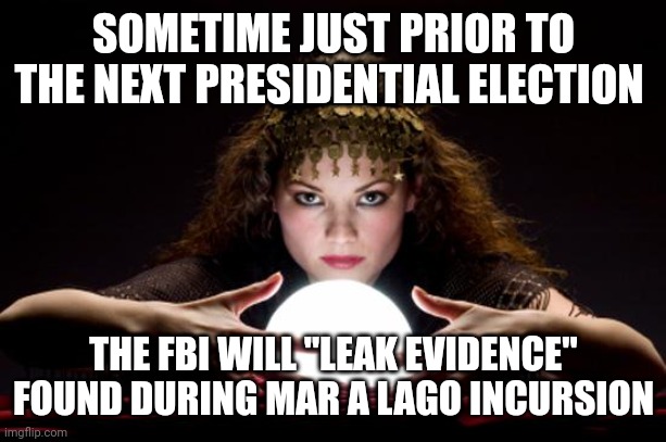 Just in time not to be verified...... |  SOMETIME JUST PRIOR TO THE NEXT PRESIDENTIAL ELECTION; THE FBI WILL "LEAK EVIDENCE" FOUND DURING MAR A LAGO INCURSION | image tagged in fortune teller | made w/ Imgflip meme maker
