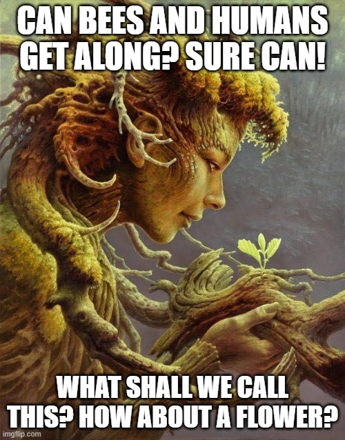 Can bees and humans get along? Sure can! Watch! | CAN BEES AND HUMANS GET ALONG? SURE CAN! WHAT SHALL WE CALL THIS? HOW ABOUT A FLOWER? | image tagged in bees and humans,on earth as it is in heaven,flowers,take care of the earth,the earth will take care of you | made w/ Imgflip meme maker