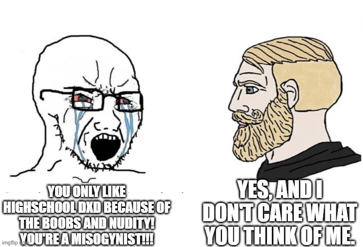 Soyboy Vs Yes Chad | YES, AND I DON'T CARE WHAT YOU THINK OF ME. YOU ONLY LIKE HIGHSCHOOL DXD BECAUSE OF THE BOOBS AND NUDITY! YOU'RE A MISOGYNIST!!! | image tagged in soyboy vs yes chad | made w/ Imgflip meme maker