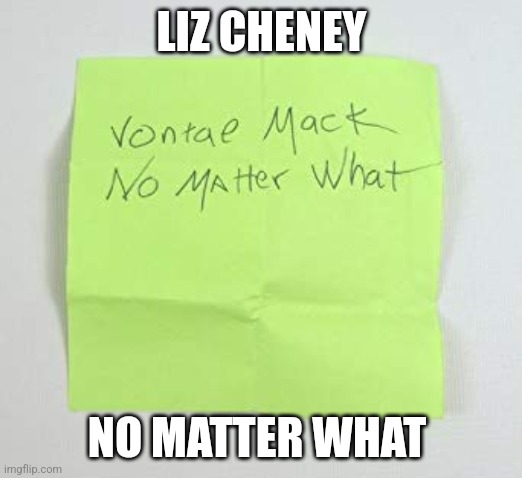 No matter what | LIZ CHENEY; NO MATTER WHAT | image tagged in no matter what | made w/ Imgflip meme maker