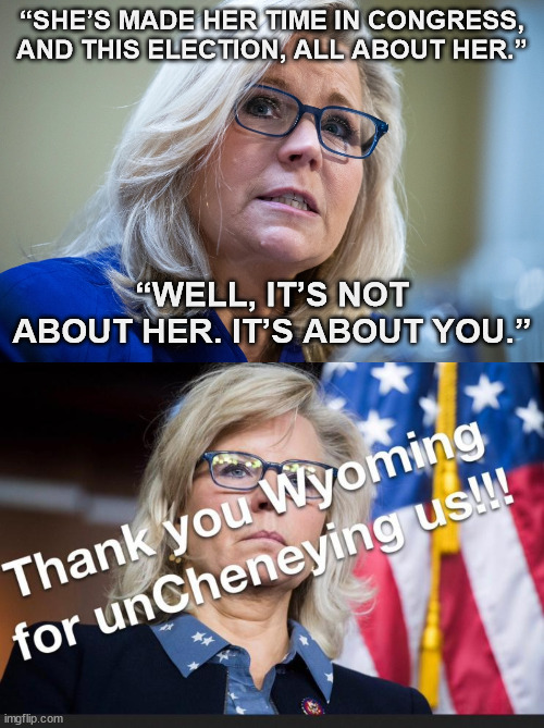 Not enough democrats in Wyoming... so sad... | “SHE’S MADE HER TIME IN CONGRESS, AND THIS ELECTION, ALL ABOUT HER.”; “WELL, IT’S NOT ABOUT HER. IT’S ABOUT YOU.” | image tagged in goodbye,rino | made w/ Imgflip meme maker