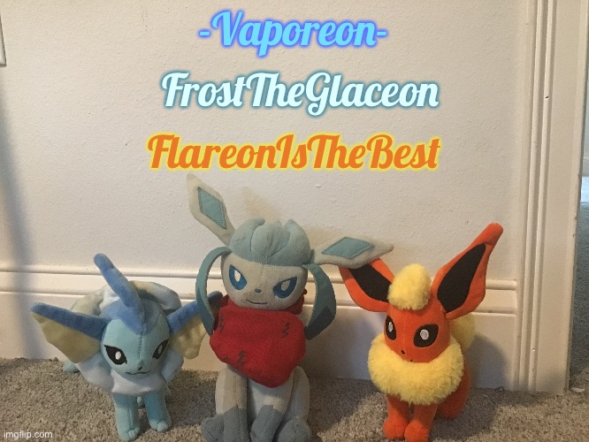 For: FlareonIsTheBest, FrostTheGlaceon, & -Vaporeon- | FrostTheGlaceon; -Vaporeon-; FlareonIsTheBest | made w/ Imgflip meme maker