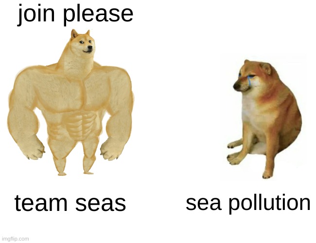 team seas | join please; team seas; sea pollution | image tagged in memes,buff doge vs cheems | made w/ Imgflip meme maker
