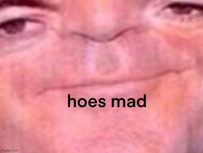 hoes mad | image tagged in hoes mad | made w/ Imgflip meme maker