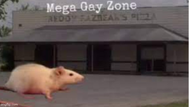 Mega gay zone | image tagged in mega gay zone | made w/ Imgflip meme maker