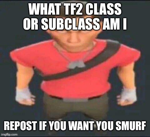 scout but I saved it so I don’t forget | WHAT TF2 CLASS OR SUBCLASS AM I; REPOST IF YOU WANT YOU SMURF | image tagged in scout but i saved it so i don t forget | made w/ Imgflip meme maker