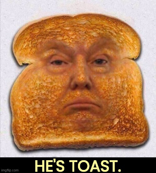 HE'S TOAST. | image tagged in trump,toast,over,finished,ended | made w/ Imgflip meme maker