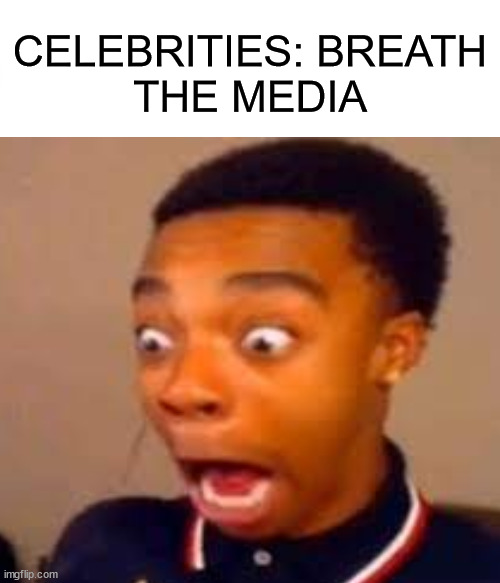 true | CELEBRITIES: BREATH
THE MEDIA | image tagged in noice | made w/ Imgflip meme maker