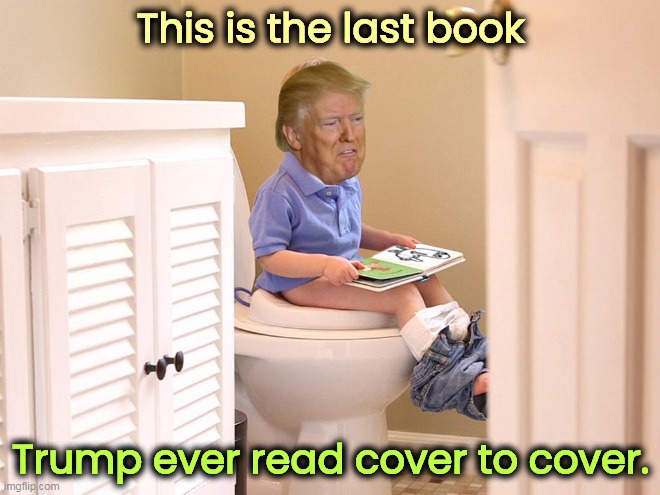 Not just ignorance, but a lack of curiosity. | This is the last book; Trump ever read cover to cover. | image tagged in trump,child,toilet,book,ignorance,curiosity | made w/ Imgflip meme maker