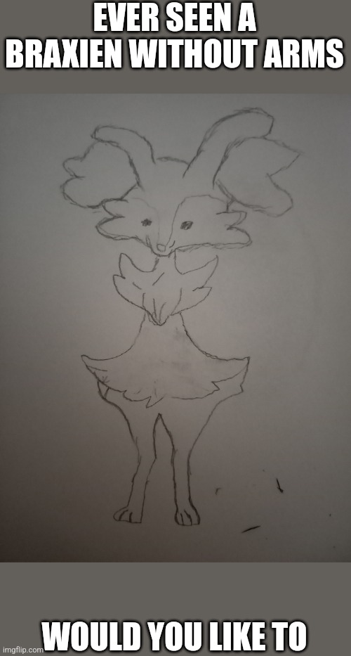 Don't have to credit the artis if I am the artist | EVER SEEN A BRAXIEN WITHOUT ARMS; WOULD YOU LIKE TO | image tagged in braixen | made w/ Imgflip meme maker