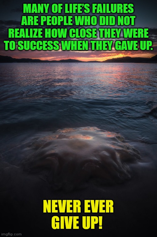 Quote | MANY OF LIFE’S FAILURES ARE PEOPLE WHO DID NOT REALIZE HOW CLOSE THEY WERE TO SUCCESS WHEN THEY GAVE UP. NEVER EVER GIVE UP! | image tagged in lifestyle | made w/ Imgflip meme maker