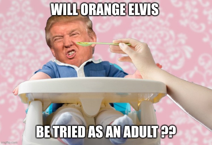 Baby Trump | WILL ORANGE ELVIS; BE TRIED AS AN ADULT ?? | image tagged in trump baby high chair | made w/ Imgflip meme maker