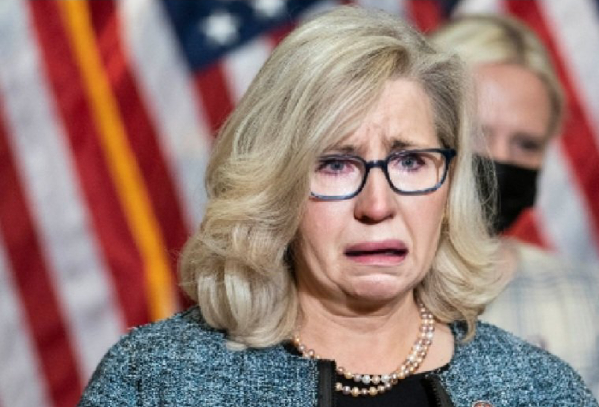 Liz Cheney Blank Meme Template