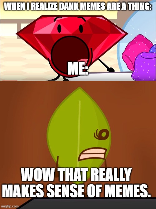 WHEN I REALIZE DANK MEMES ARE A THING: ME: WOW THAT REALLY MAKES SENSE OF MEMES. | image tagged in bfdi ruby,bfdi wat face | made w/ Imgflip meme maker