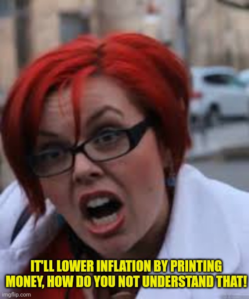 SJW Triggered | IT'LL LOWER INFLATION BY PRINTING MONEY, HOW DO YOU NOT UNDERSTAND THAT! | image tagged in sjw triggered | made w/ Imgflip meme maker