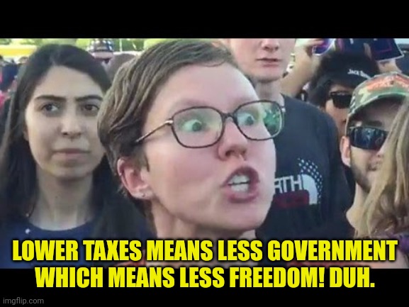 Angry sjw | LOWER TAXES MEANS LESS GOVERNMENT WHICH MEANS LESS FREEDOM! DUH. | image tagged in angry sjw | made w/ Imgflip meme maker