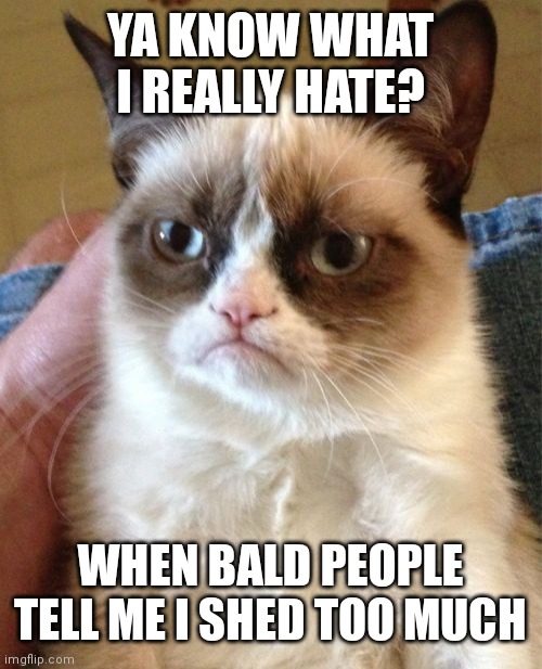 Grumpy Cat | YA KNOW WHAT I REALLY HATE? WHEN BALD PEOPLE TELL ME I SHED TOO MUCH | image tagged in memes,grumpy cat | made w/ Imgflip meme maker