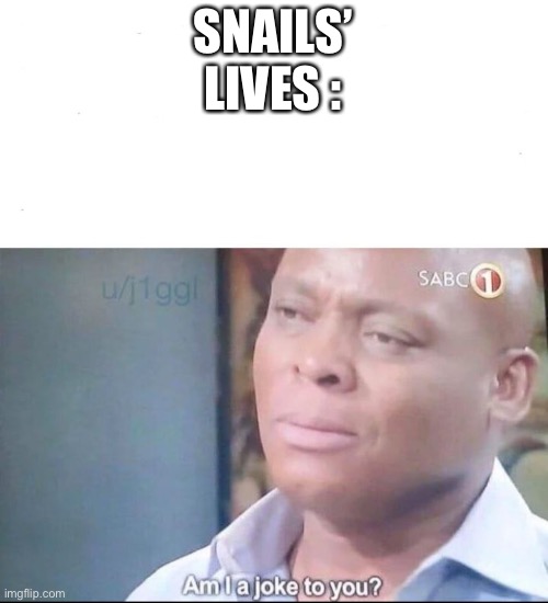 am I a joke to you | SNAILS’ LIVES : | image tagged in am i a joke to you | made w/ Imgflip meme maker