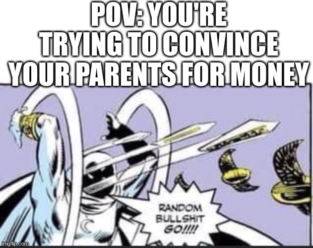 POV: YOU'RE TRYING TO CONVINCE YOUR PARENTS FOR MONEY | image tagged in random bullshit go | made w/ Imgflip meme maker