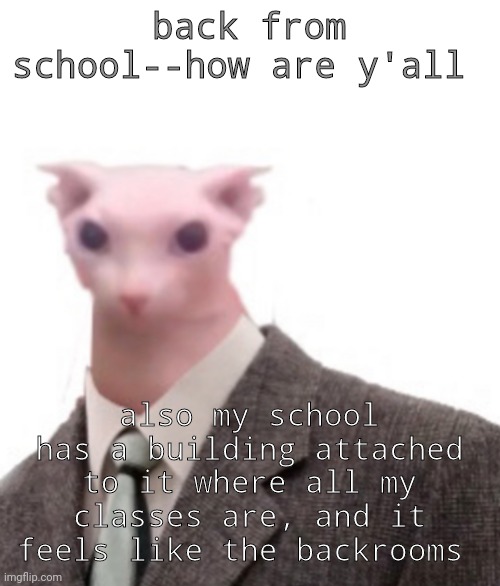 I kept getting lost in everything | back from school--how are y'all; also my school has a building attached to it where all my classes are, and it feels like the backrooms | image tagged in bingus | made w/ Imgflip meme maker