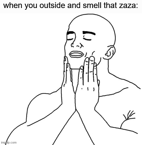 Satisfaction | when you outside and smell that zaza: | image tagged in satisfaction | made w/ Imgflip meme maker