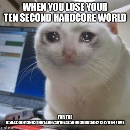 Crying cat | WHEN YOU LOSE YOUR TEN SECOND HARDCORE WORLD FOR THE 958413691396319614697491974158093680349275720TH TIME | image tagged in crying cat | made w/ Imgflip meme maker