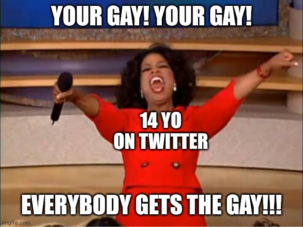 Oprah You Get A Meme | YOUR GAY! YOUR GAY! EVERYBODY GETS THE GAY!!! 14 YO ON TWITTER | image tagged in memes,oprah you get a | made w/ Imgflip meme maker