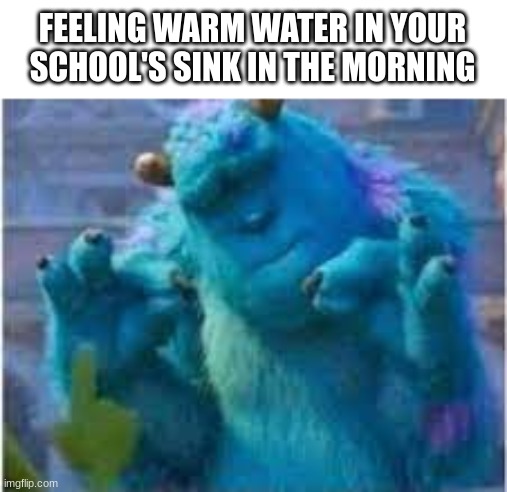 FEELING WARM WATER IN YOUR SCHOOL'S SINK IN THE MORNING | image tagged in true,so true memes,funny,meme,sully | made w/ Imgflip meme maker
