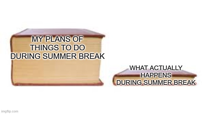 summer break be like | MY PLANS OF THINGS TO DO DURING SUMMER BREAK; WHAT ACTUALLY HAPPENS DURING SUMMER BREAK | image tagged in big book small book,summer vacation,sad but true | made w/ Imgflip meme maker