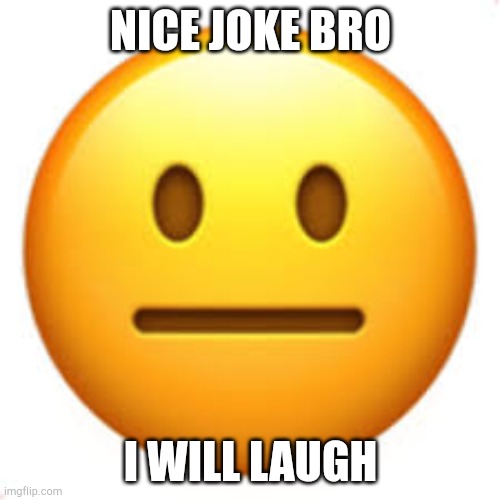 Not funny | NICE JOKE BRO I WILL LAUGH | image tagged in not funny | made w/ Imgflip meme maker