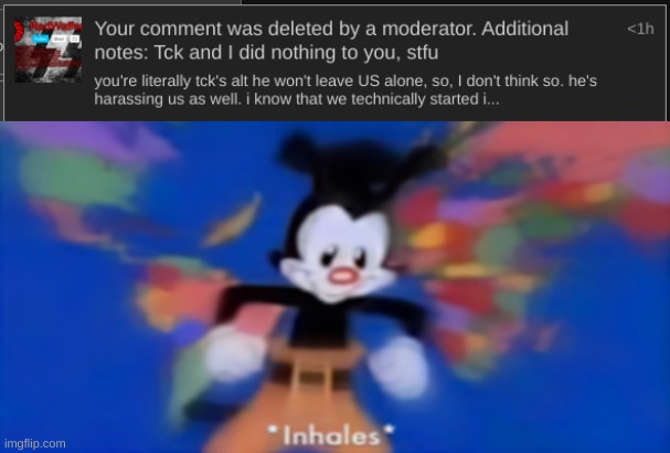 @RedWogean Oh, you wanna hear what HE DID?  YOU WANNA? CUZ I CAN TELL YOU WHAT THAT SON OF A BITCH DID. I CAN TELL YOU AND I FUC | image tagged in yakko inhale | made w/ Imgflip meme maker