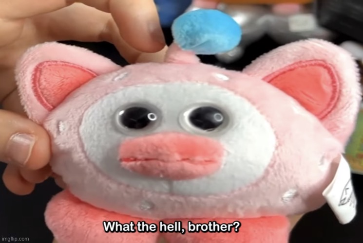 “What the hell, brother?” | image tagged in what the hell brother | made w/ Imgflip meme maker