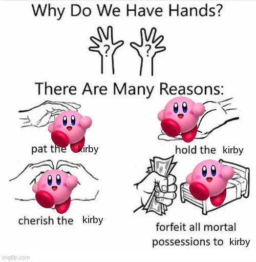 kirby = cute | kirby; kirby; kirby; kirby | image tagged in why do we have hands all blank | made w/ Imgflip meme maker