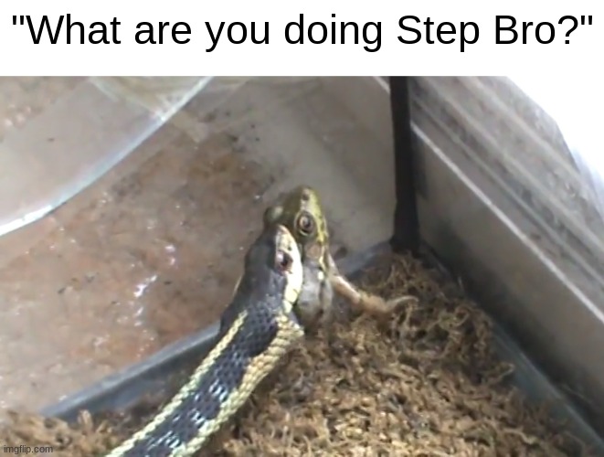 . | "What are you doing Step Bro?" | made w/ Imgflip meme maker