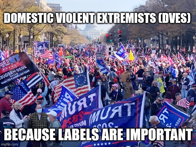 Label your enemies... It's what all totalitarian regimes do... | DOMESTIC VIOLENT EXTREMISTS (DVES); BECAUSE LABELS ARE IMPORTANT | image tagged in corrupt,government,mafia | made w/ Imgflip meme maker