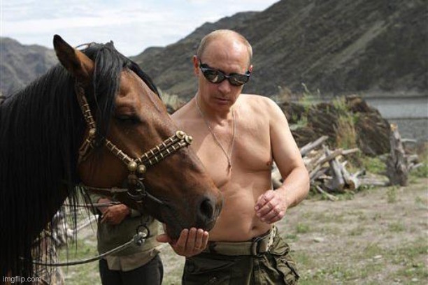 Putin with a Horse | image tagged in putin with a horse | made w/ Imgflip meme maker