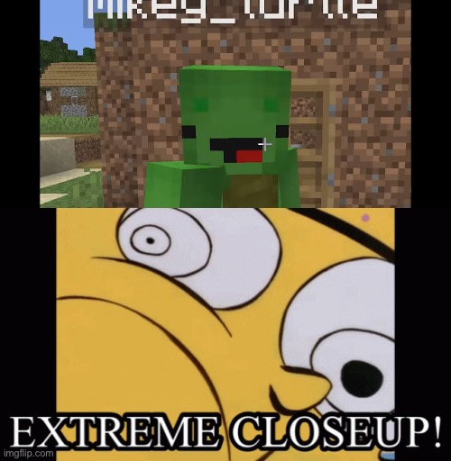 image tagged in extreme closeup,ed edd n eddy,minecraft,maizen | made w/ Imgflip meme maker