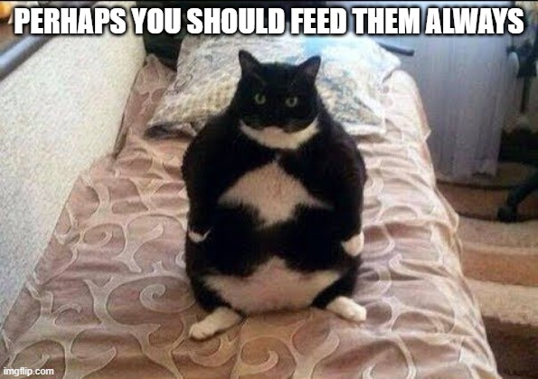 Chonki Babbie Hungy | PERHAPS YOU SHOULD FEED THEM ALWAYS | image tagged in chonki babbie hungy | made w/ Imgflip meme maker
