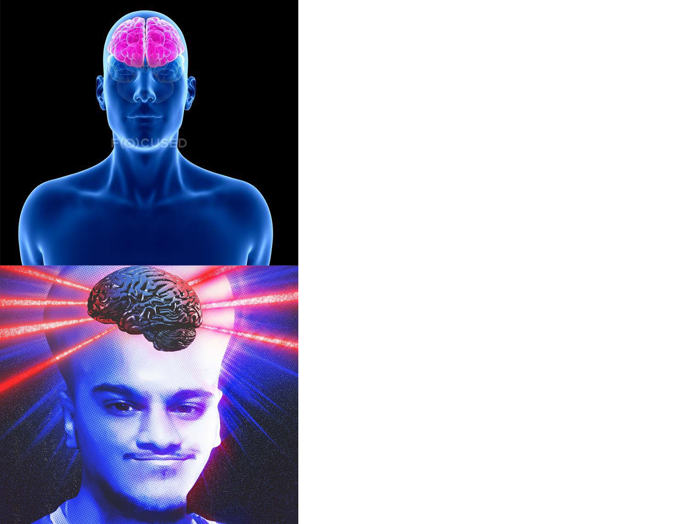 normal brain and sideway brain Blank Meme Template