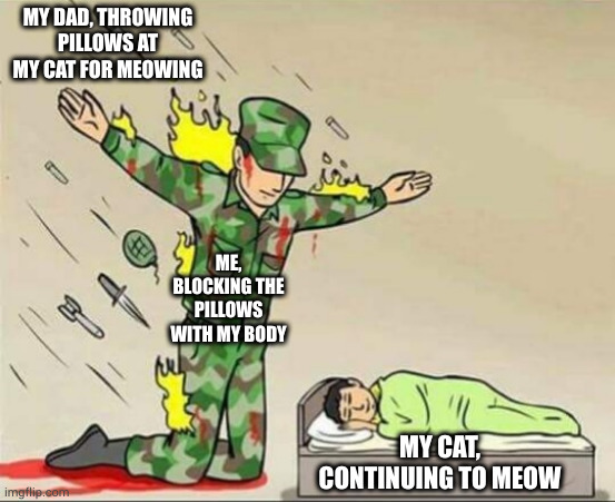 Sometimes cats don't know how much you love 'em | MY DAD, THROWING PILLOWS AT MY CAT FOR MEOWING; ME, BLOCKING THE PILLOWS WITH MY BODY; MY CAT, CONTINUING TO MEOW | image tagged in soldier protecting sleeping child,cats,cat | made w/ Imgflip meme maker