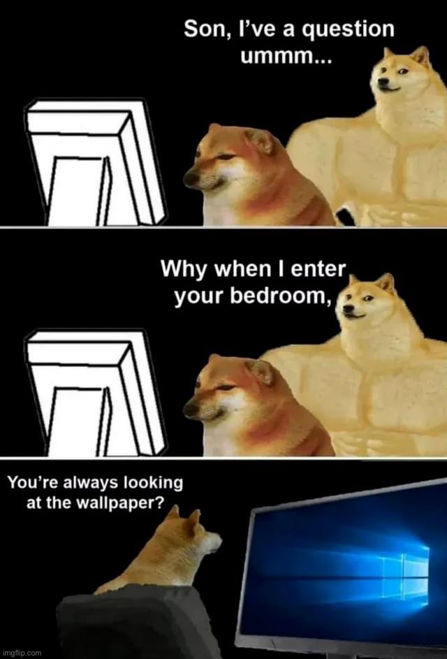 Always looking at the wallpaper | image tagged in always looking at the wallpaper | made w/ Imgflip meme maker