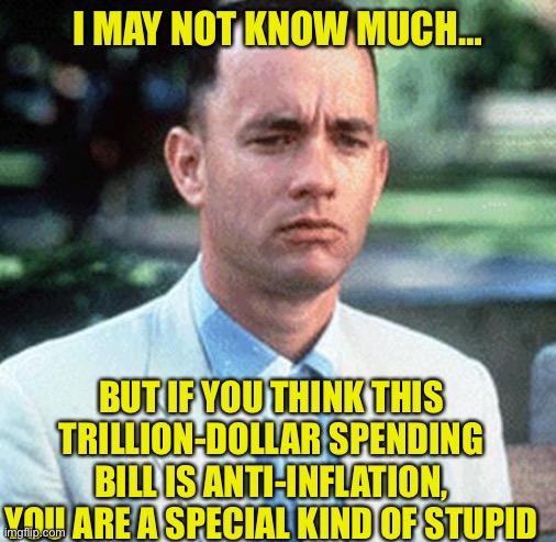 forrest gump | I MAY NOT KNOW MUCH…; BUT IF YOU THINK THIS TRILLION-DOLLAR SPENDING BILL IS ANTI-INFLATION, YOU ARE A SPECIAL KIND OF STUPID | image tagged in forrest gump | made w/ Imgflip meme maker