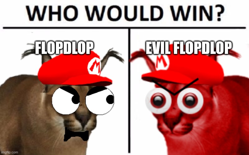 no more floppas | FLOPDLOP; EVIL FLOPDLOP | made w/ Imgflip meme maker