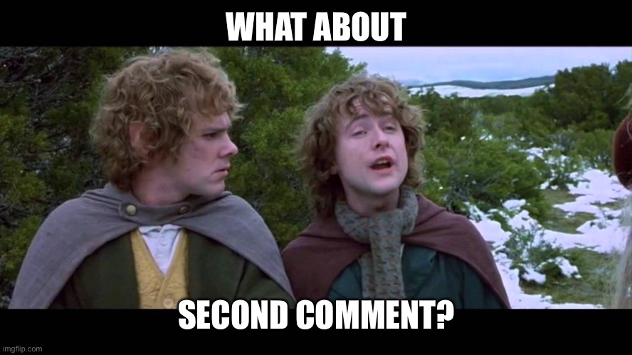 What about 2nd... | WHAT ABOUT SECOND COMMENT? | image tagged in what about 2nd | made w/ Imgflip meme maker