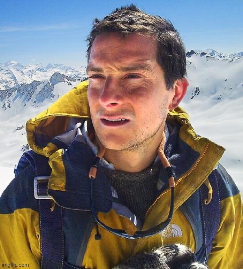 Bear Grylls Meme | image tagged in memes,bear grylls | made w/ Imgflip meme maker