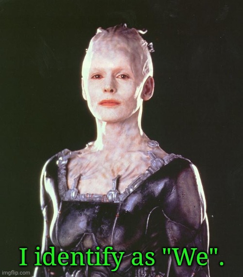 We | I identify as "We". | image tagged in borg queen,memes,star trek | made w/ Imgflip meme maker