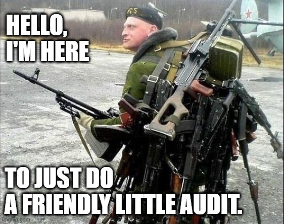 too many guns | HELLO,  I'M HERE; TO JUST DO          A FRIENDLY LITTLE AUDIT. | image tagged in too many guns | made w/ Imgflip meme maker