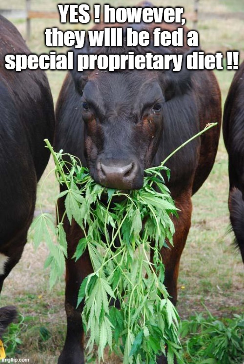 YES ! however, they will be fed a special proprietary diet !! | made w/ Imgflip meme maker