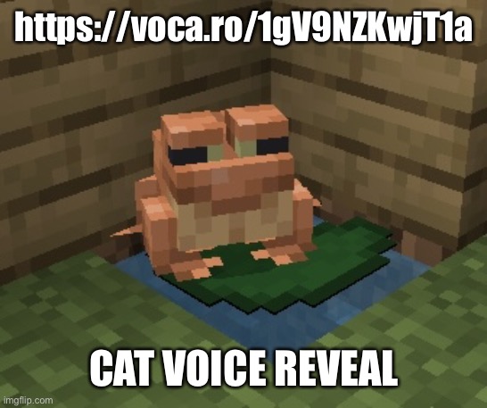 n o r m a n. | https://voca.ro/1gV9NZKwjT1a; CAT VOICE REVEAL | image tagged in n o r m a n | made w/ Imgflip meme maker